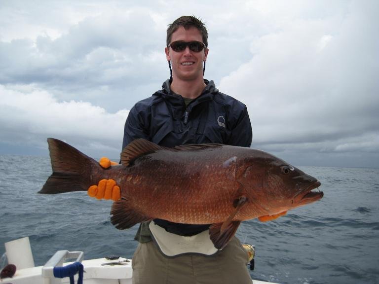 JOSH-SNAPPER