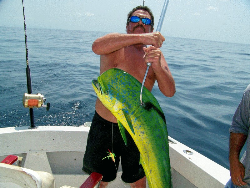 dorado100_3241