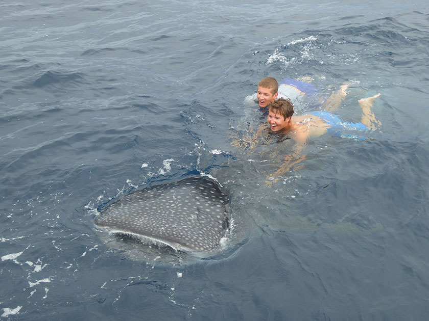 Kids playing with a Whaleshark in Panama