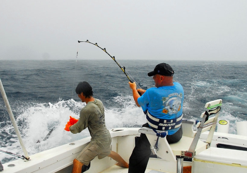 marlin_3