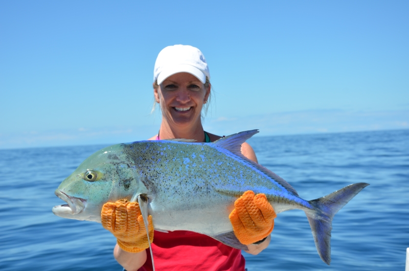 panama-bluefin079