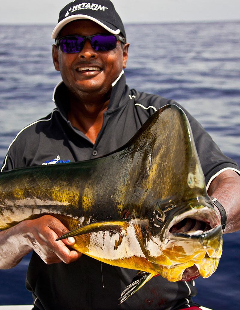 Fishing Action Panama Fishing Action Panama