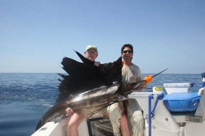 sailfish_wallace2