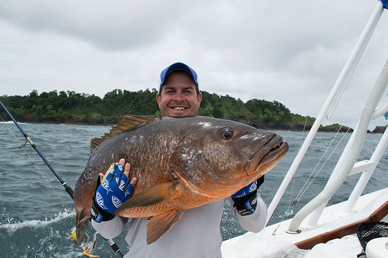 Snapper Panama Snapper Fishing.